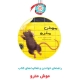 راهنمای خواندن و فعالیت‌های کتاب «موش مترو»
