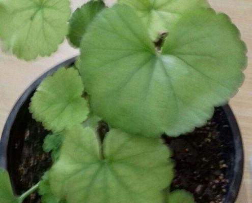بلندخوانی کتاب بنفشه‌های عمو نوروز، محمودآباد، اسفند 96