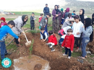 photo_2019-03-10_12-04-03 Tree Planting Day in Iran