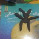بلندخوانی کتاب خرگوش کوچولوی غمگین، زابل، مرداد97