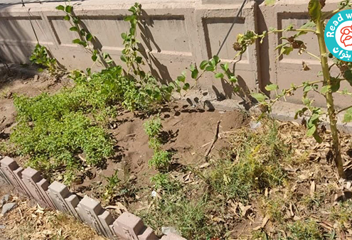 کتاب لولوپی و کودکان بم